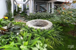 DREAM HOUSE